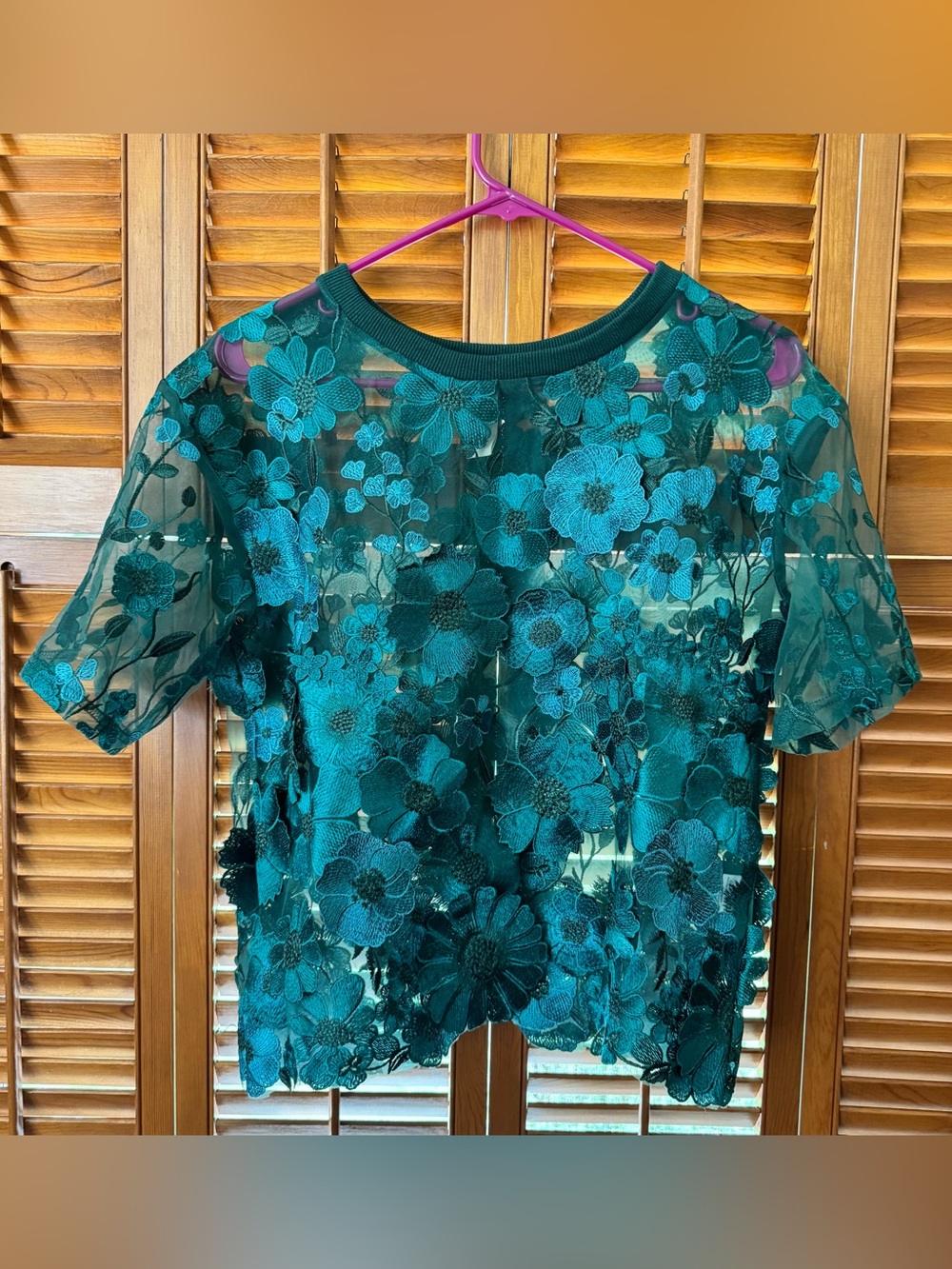 Dolan Left Coast Flower Appliqué Sheer Tee Sz M